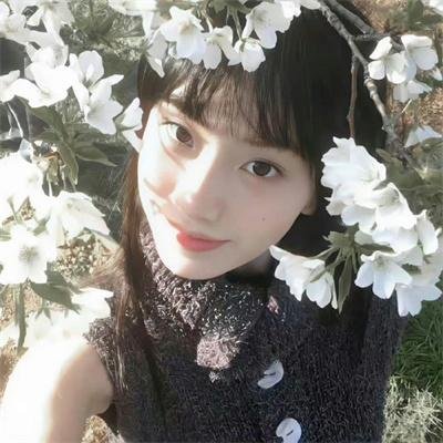 少林与武当海报