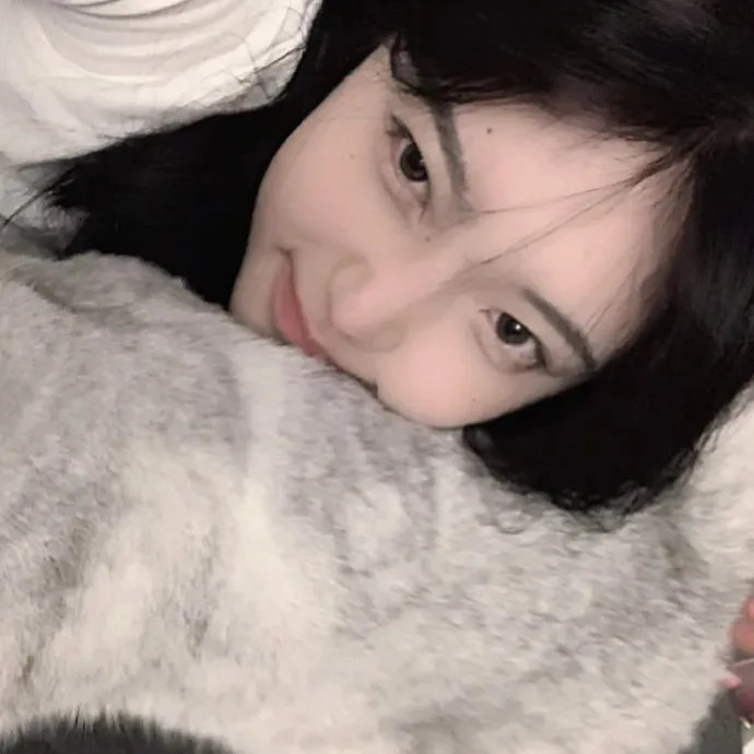 花儿与歌声海报